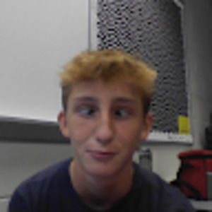 Meet your Posher, Molly